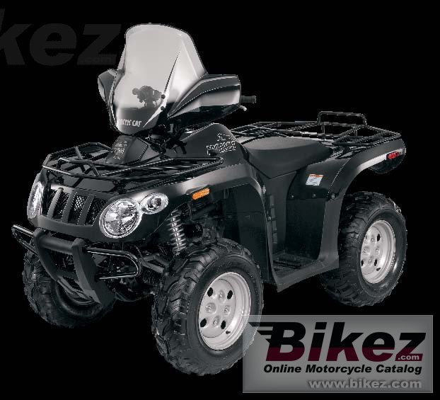 Arctic Cat 366 SE