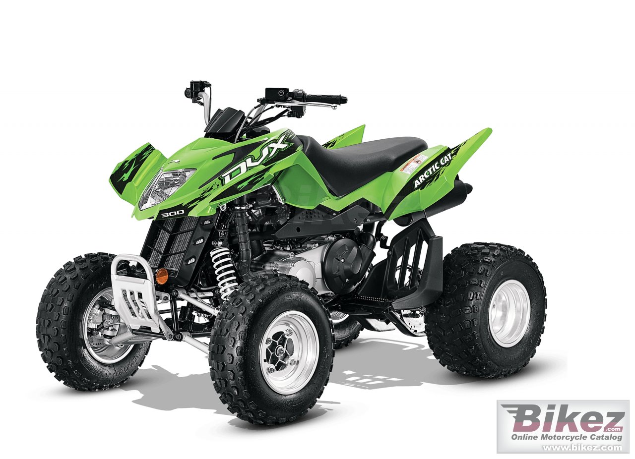 Arctic Cat DVX 300