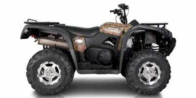 Bennche Gray Wolf 500