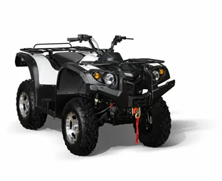 Bennche Gray Wolf 700
