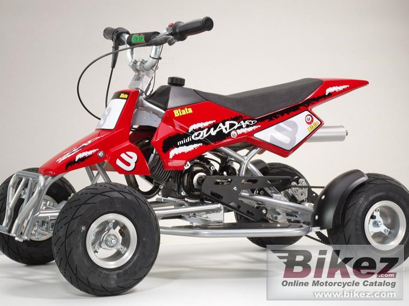 Blata Midiquadard