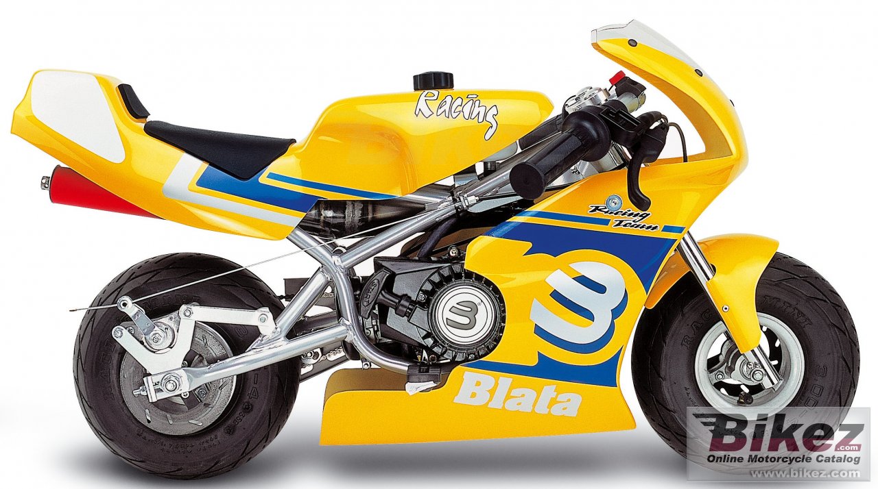 Blata Minibike 2.5