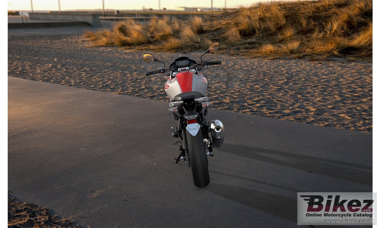 Thumbnail for BMW G 310 GS 2018