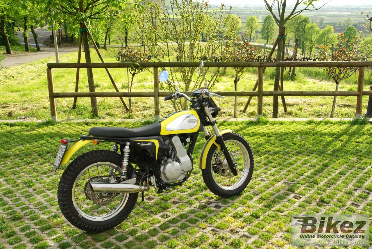 Thumbnail for Borile B450Scrambler 2014
