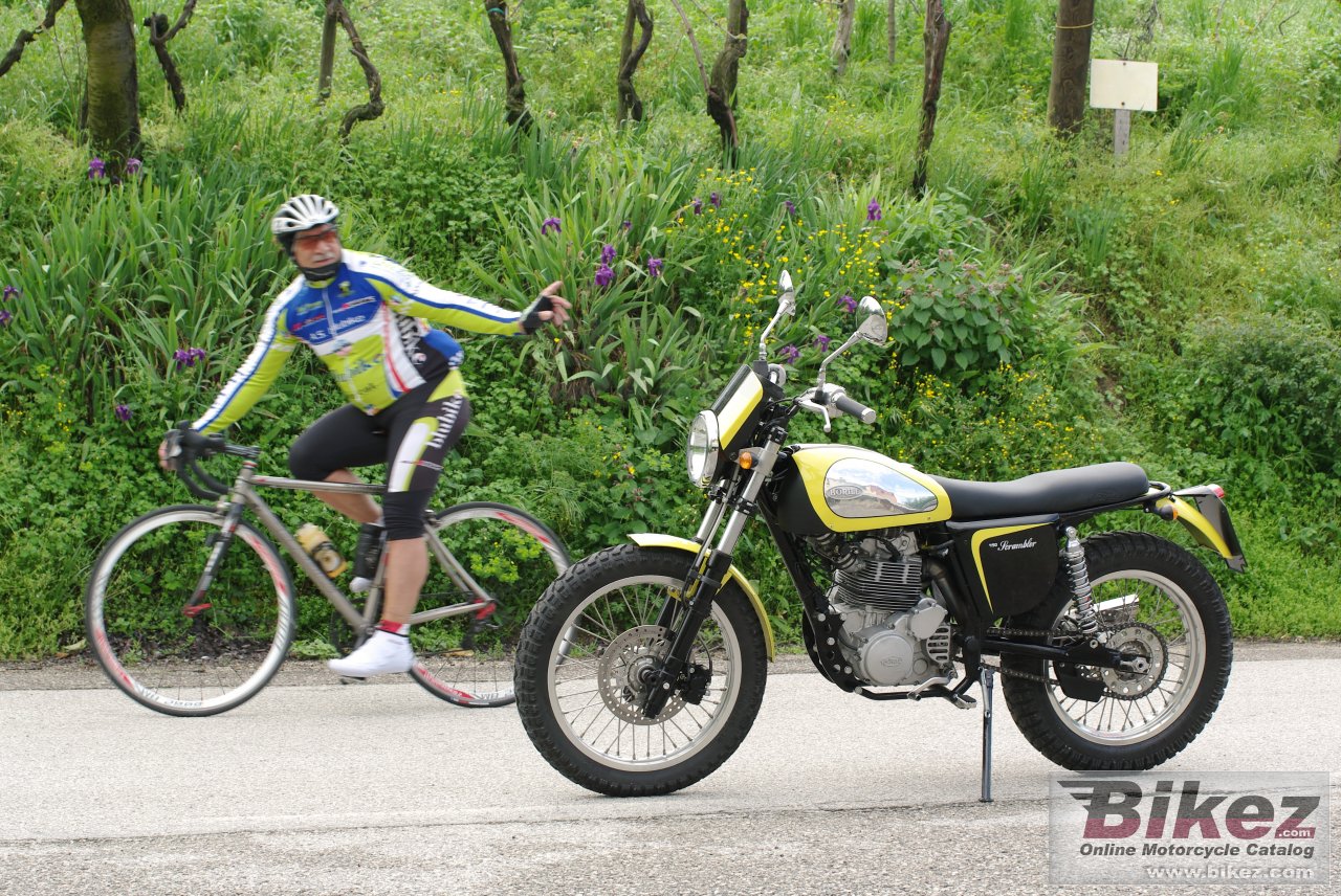 Thumbnail for Borile B450Scrambler 2014