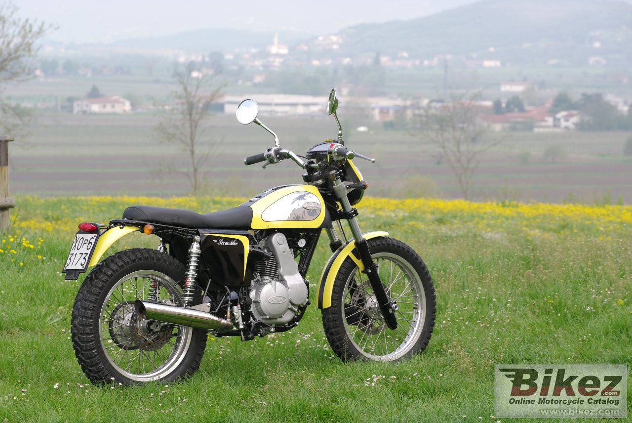 Thumbnail for Borile B450Scrambler 2014