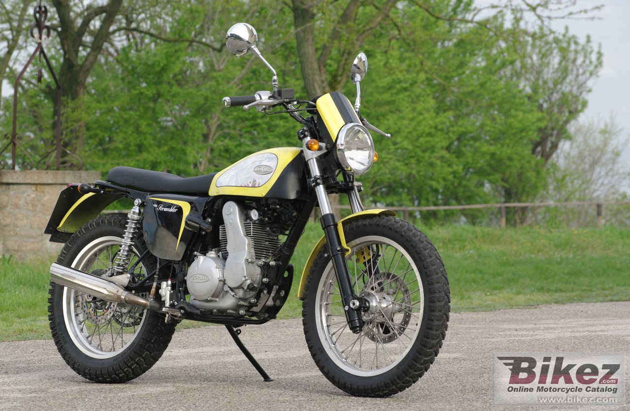 Thumbnail for Borile B450Scrambler 2014