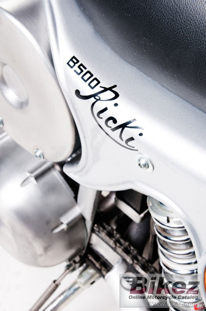 Thumbnail for Borile B500 Ricki 2015