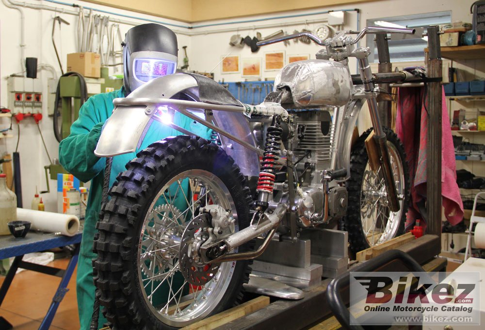 Thumbnail for Borile B500Ricki 2013