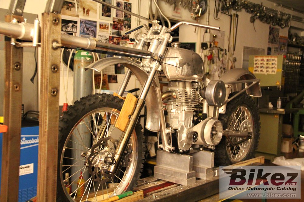 Thumbnail for Borile B500Ricki 2013