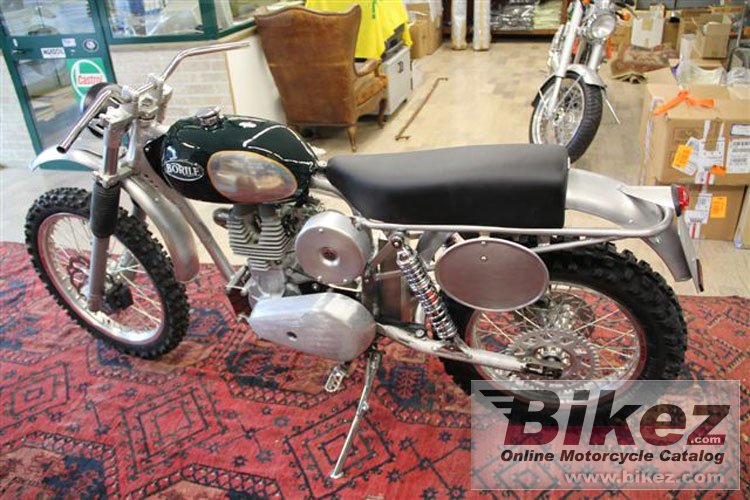 Thumbnail for Borile B500Ricki 2013
