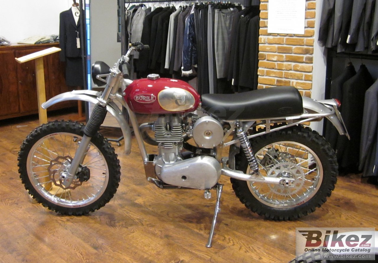 Borile B500Ricki