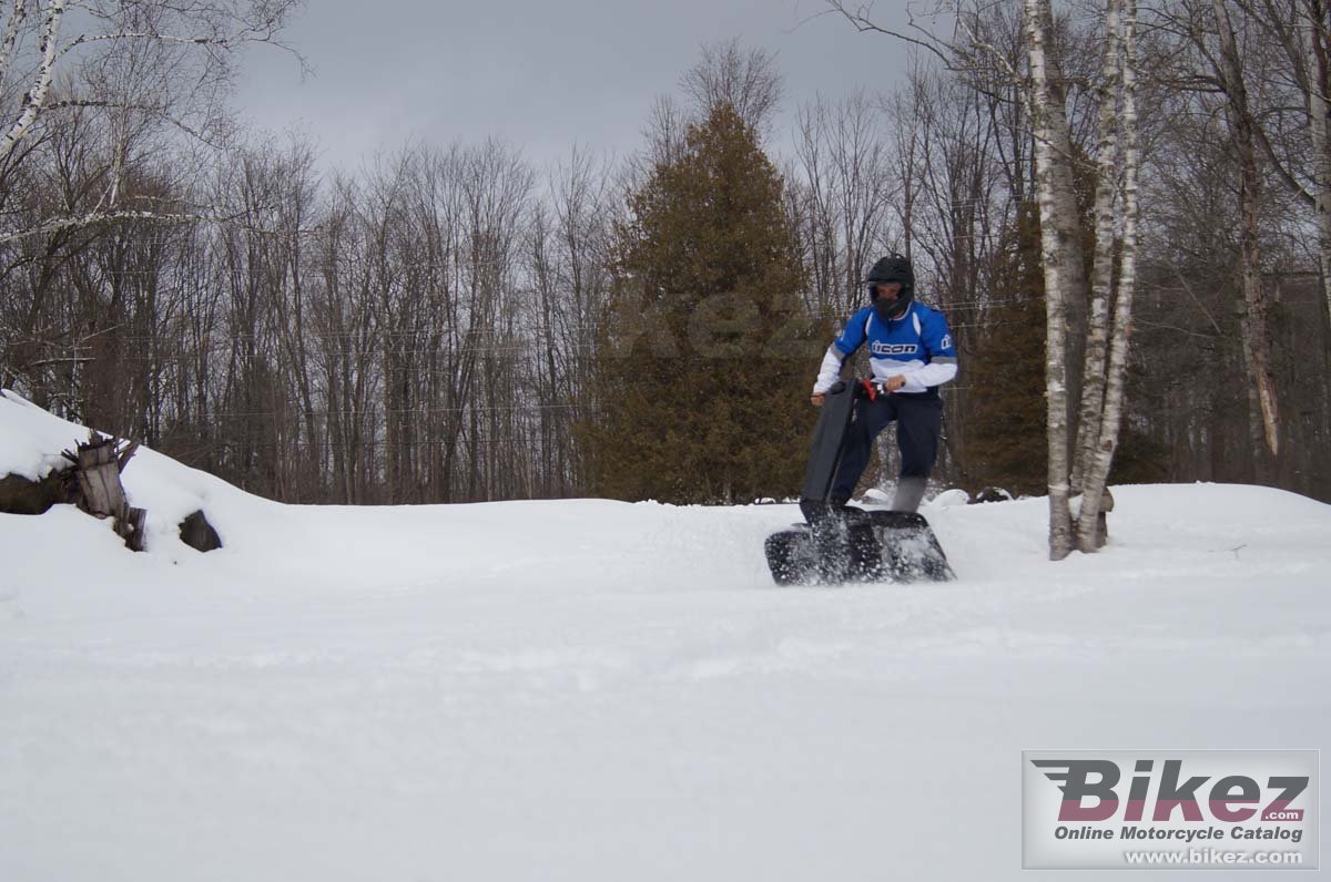 Thumbnail for BPG DTV Shredder 2014