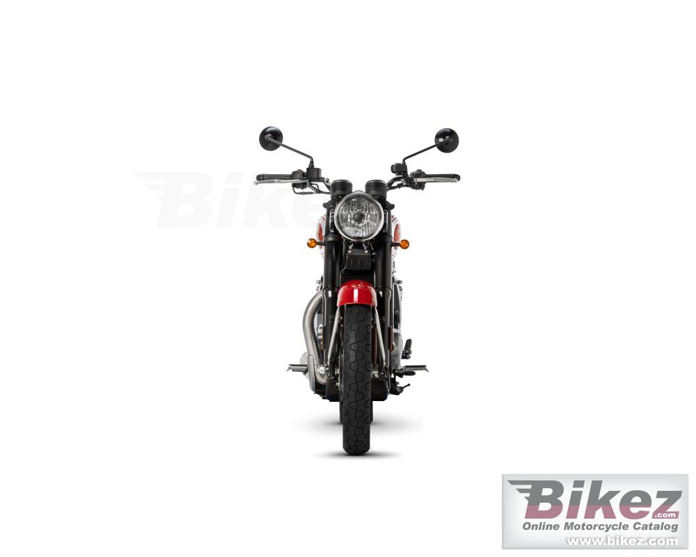 Thumbnail for BSA Gold Star 2024