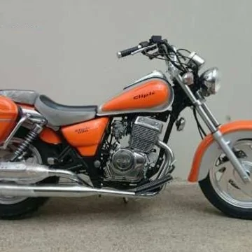 Clipic Custom Guepard 250