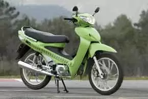 Clipic Frog