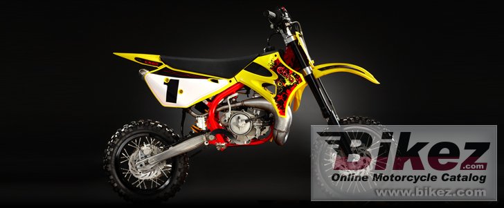 Cobra CX65