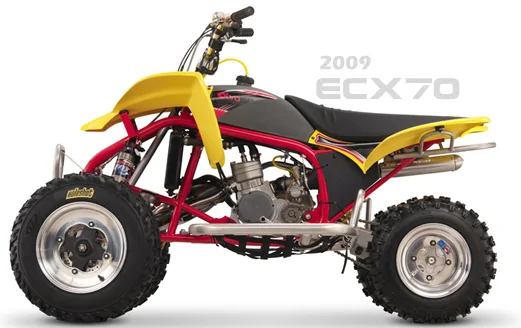 Thumbnail for Cobra ECX70 2009