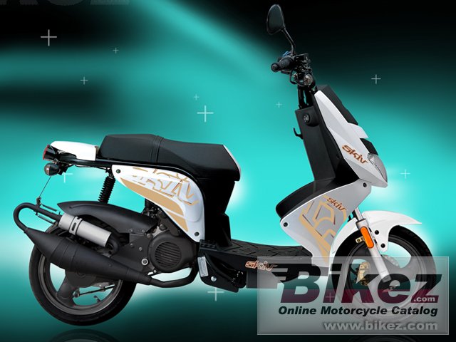 Dafier Skiv 50