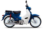 Thumbnail for Demak Eco 110 2020