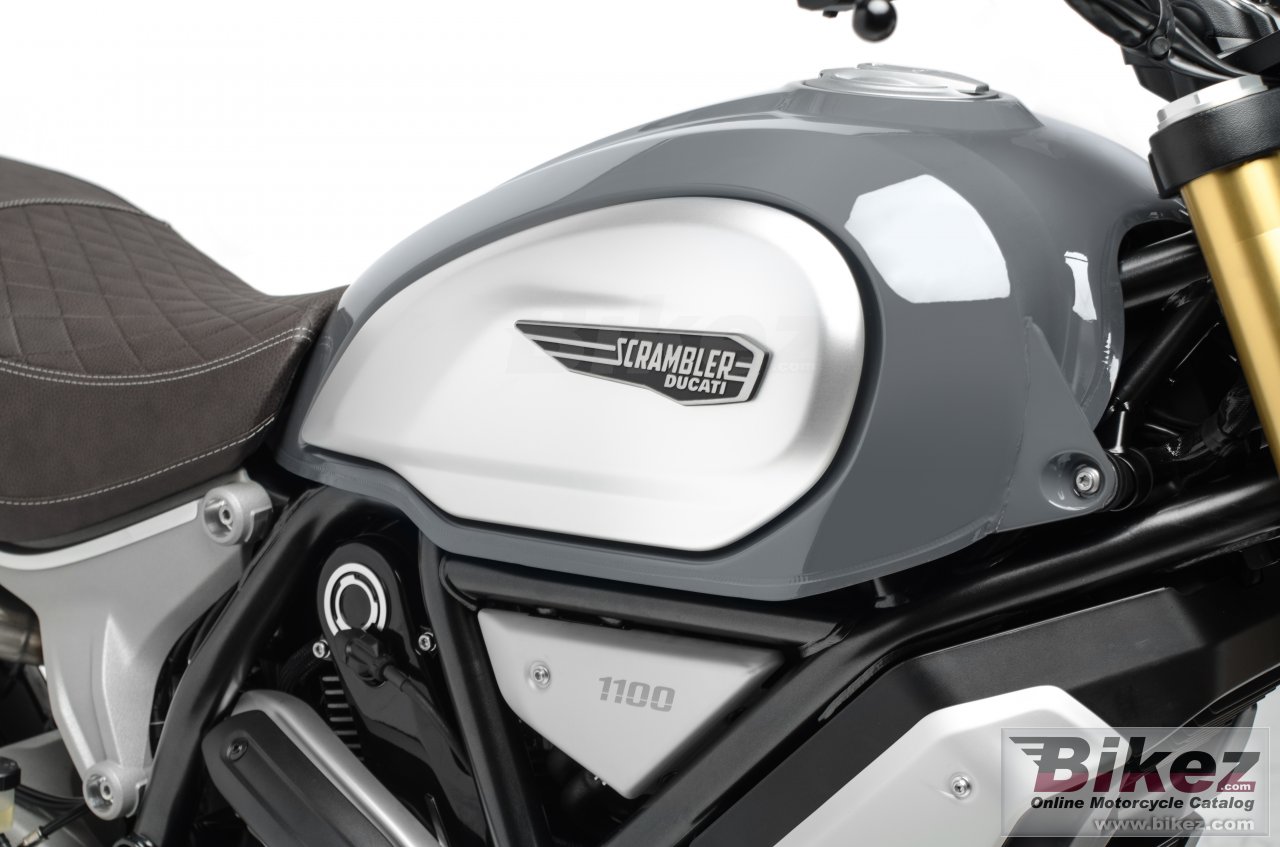 Thumbnail for Ducati Scrambler 1100 Special 2019