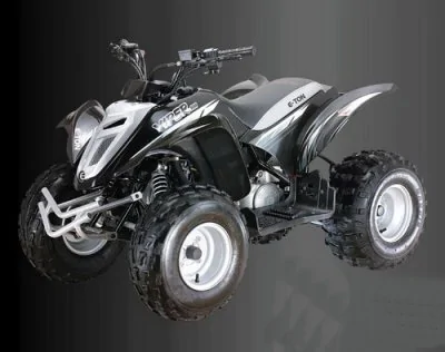 E-Ton Viper 90 R