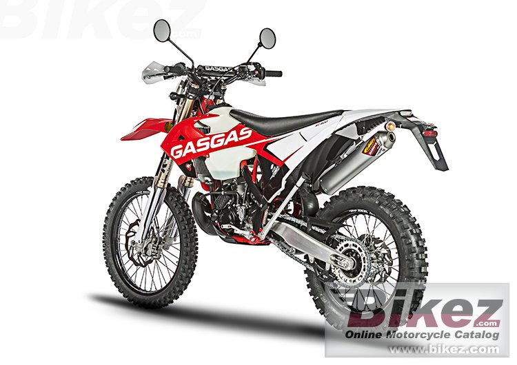 Thumbnail for GAS GAS EC 300 E4 2018