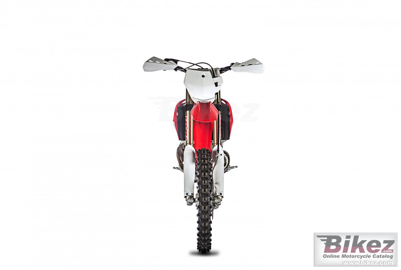 Thumbnail for GAS GAS XC 300 2019