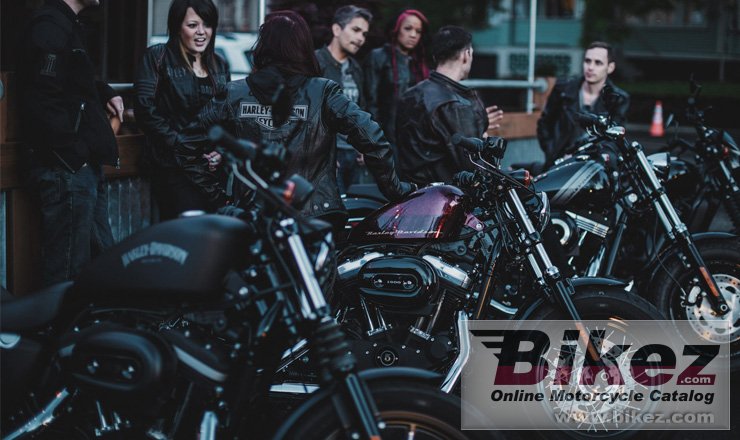 Thumbnail for Harley-Davidson Sportster Forty-Eight Dark Custom 2015