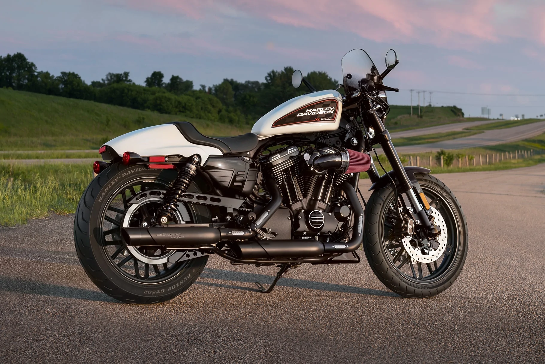 Thumbnail for Harley-Davidson Sportster Roadster 2019
