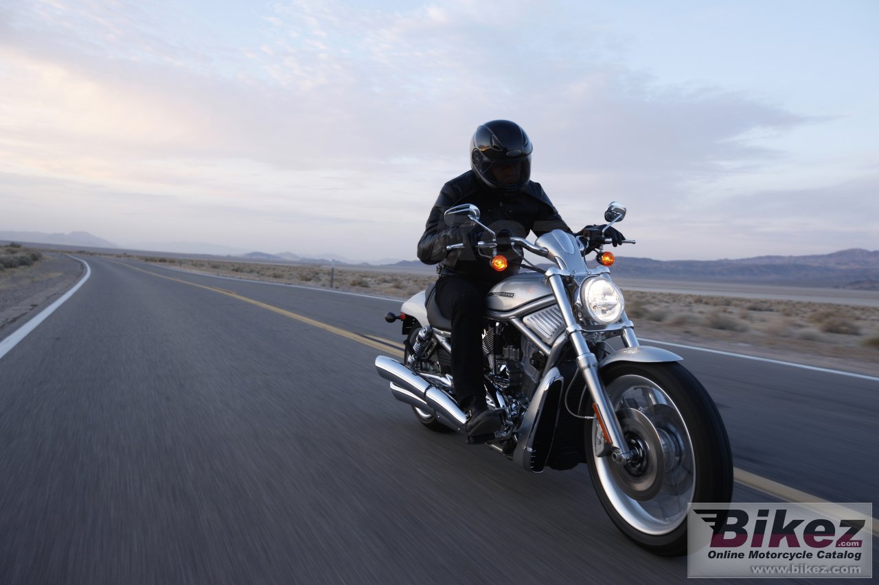 Thumbnail for Harley-Davidson VRSCAW V-Rod 2010