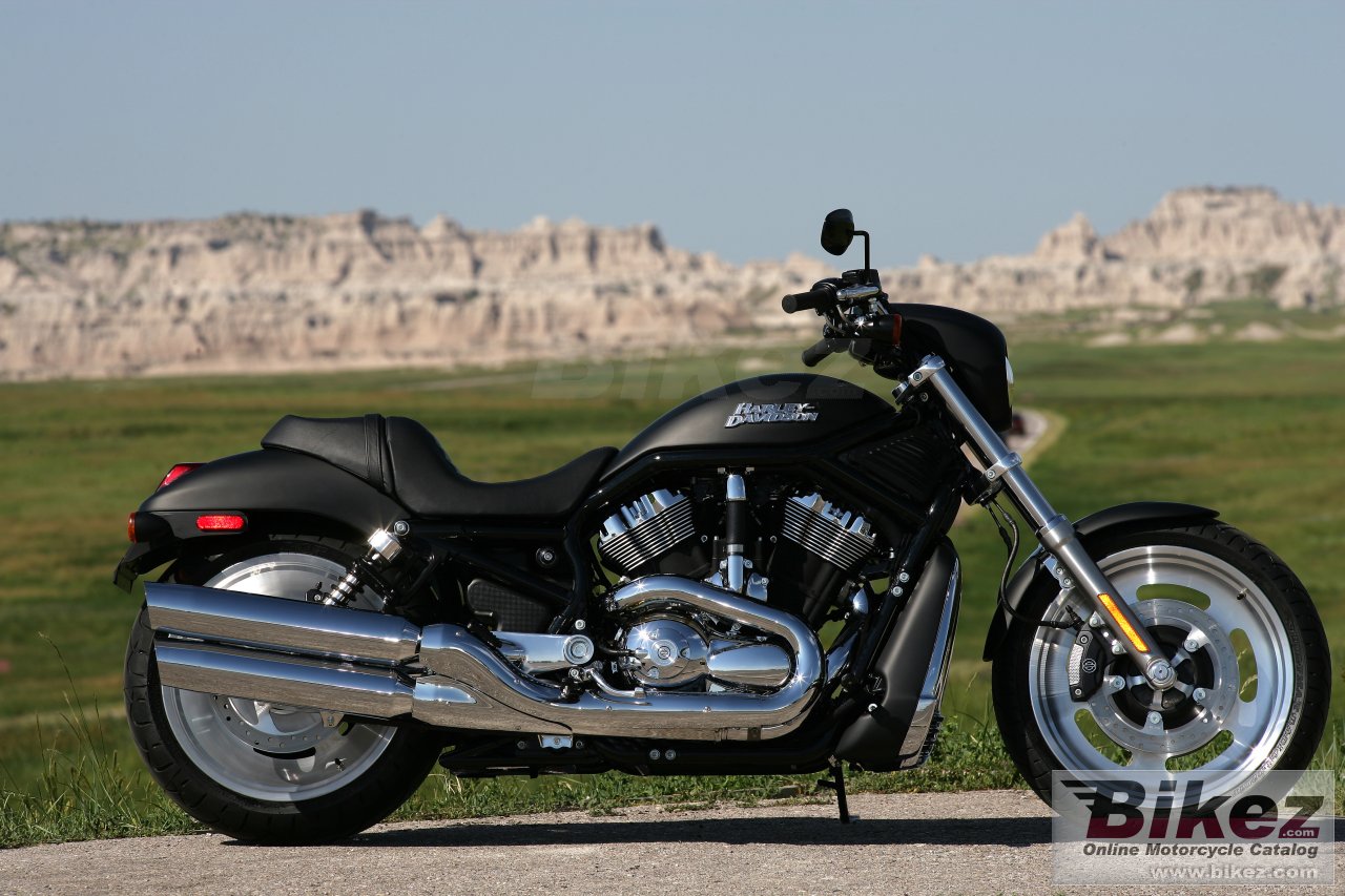 Thumbnail for Harley-Davidson VRSCD Night Rod 2006