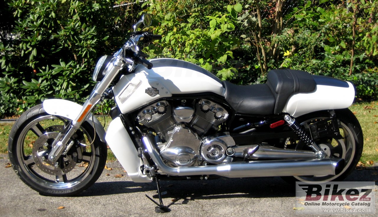 Thumbnail for Harley-Davidson VRSCF V-Rod Muscle 2009