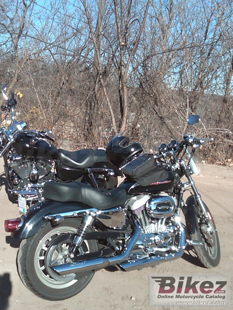 Thumbnail for Harley-Davidson XL 1200 R Sportster Roadster 2004