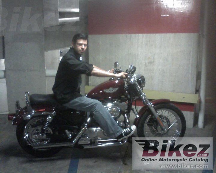 Thumbnail for Harley-Davidson XLH Sportster 883 2003