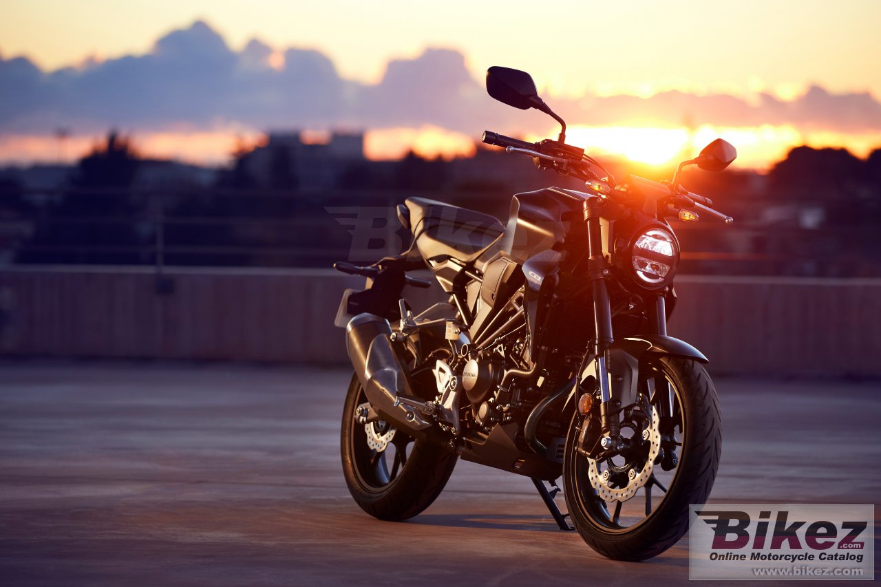 Thumbnail for Honda CB300R 2022