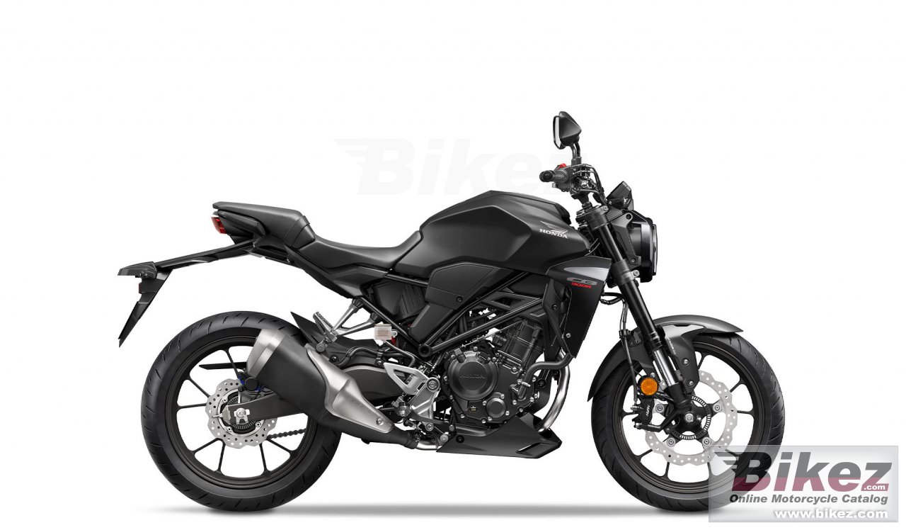 Thumbnail for Honda CB300R 2024