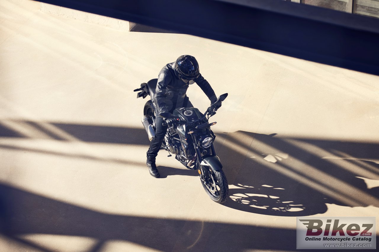 Thumbnail for Honda CB300R Neo Sports Cafe 2022