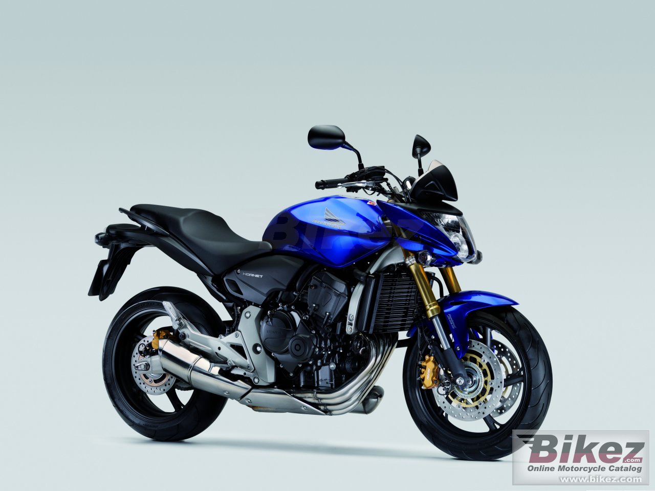 Thumbnail for Honda CB 600 F Hornet 2008