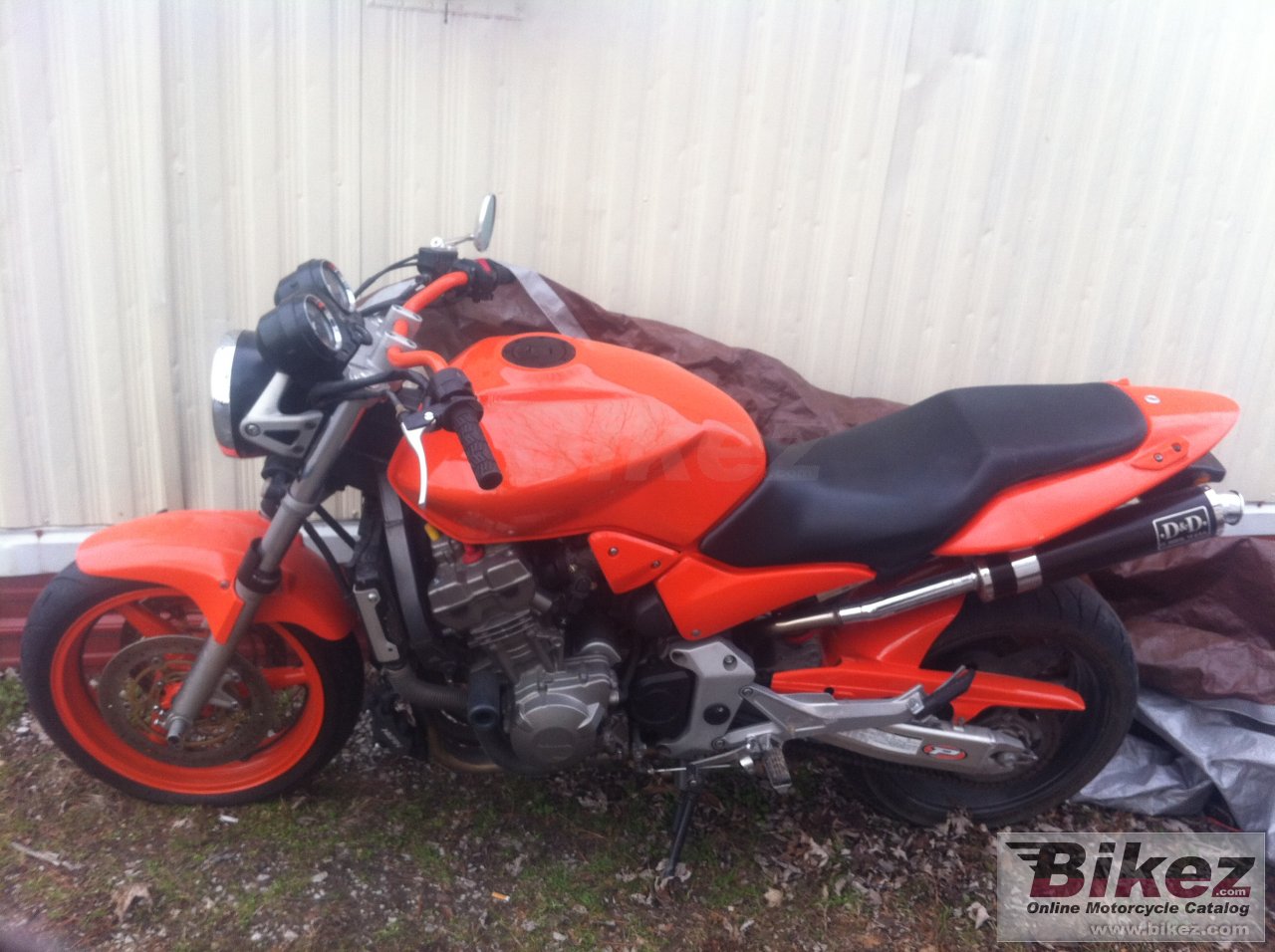 Thumbnail for Honda CB 900 F Hornet 2003