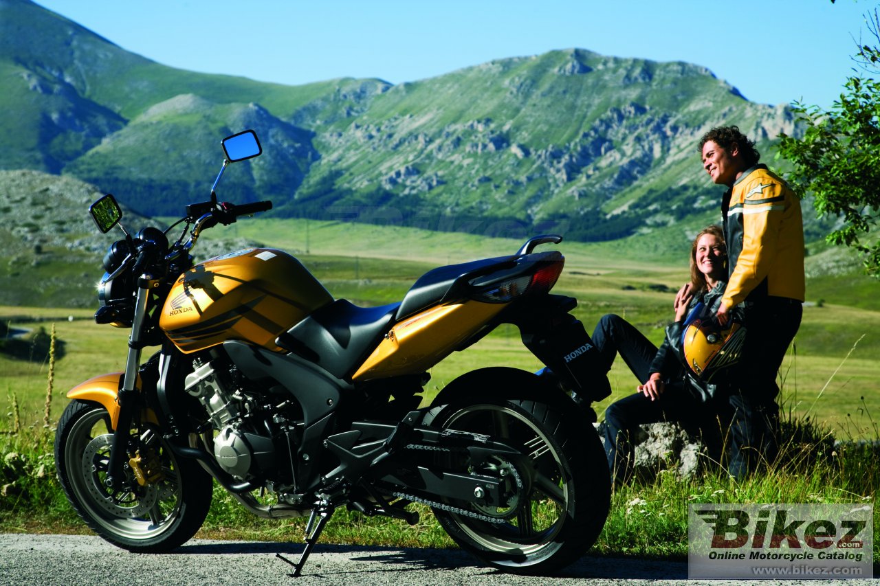 Thumbnail for Honda CBF600 2009