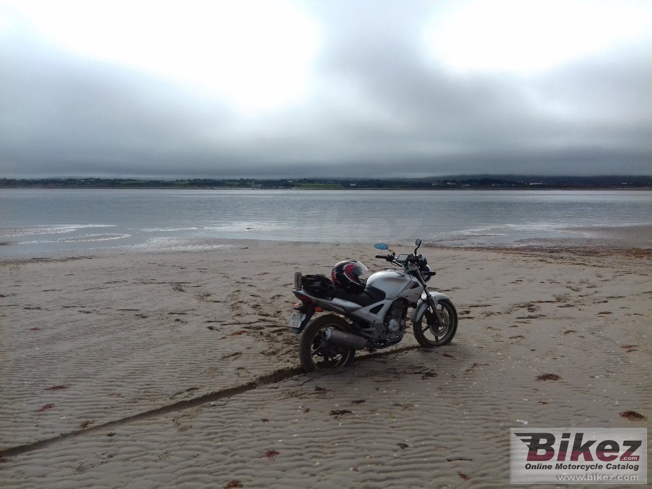 Thumbnail for Honda CBF 250 2006