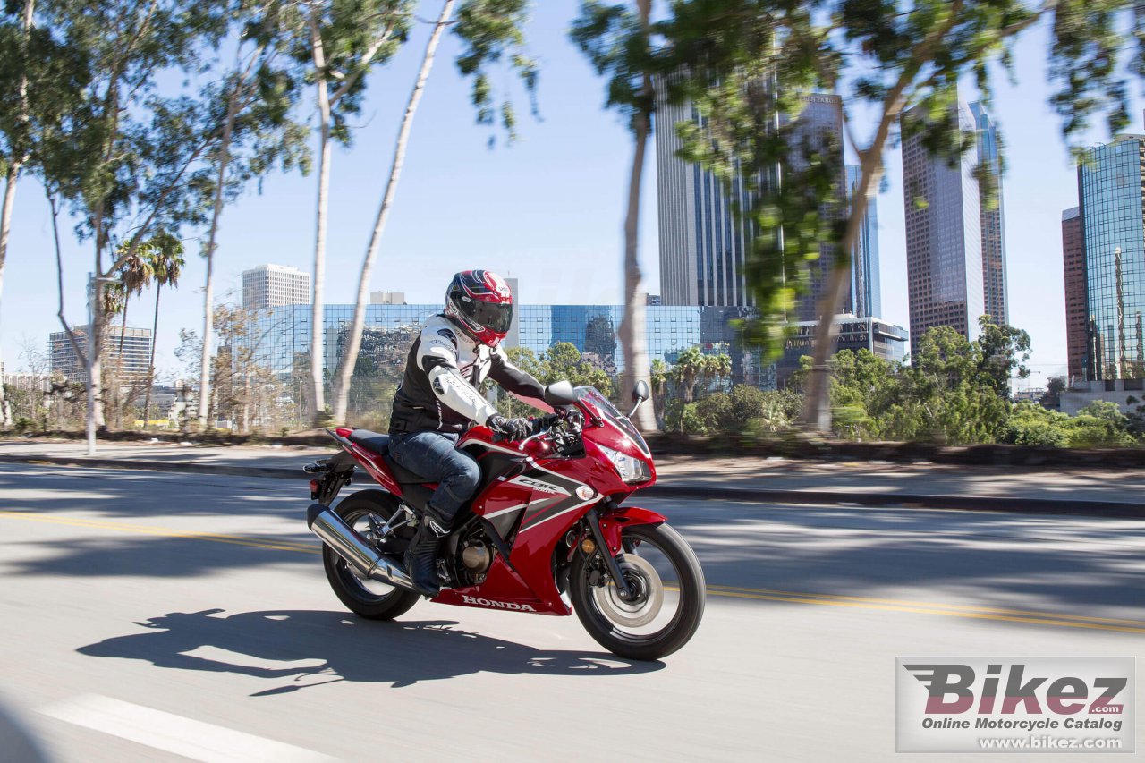 Thumbnail for Honda CBR300R 2022