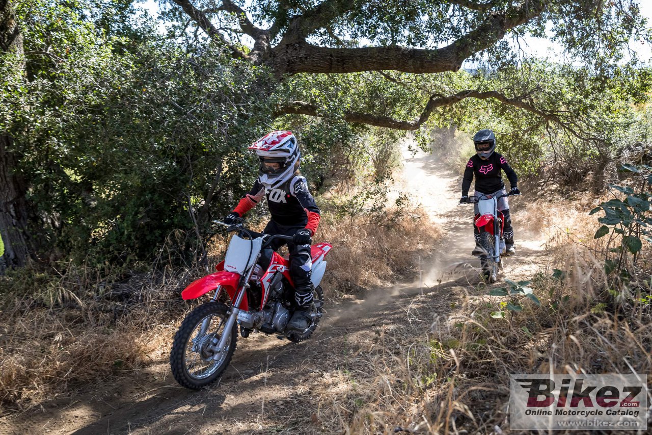 Thumbnail for Honda CRF110F 2021