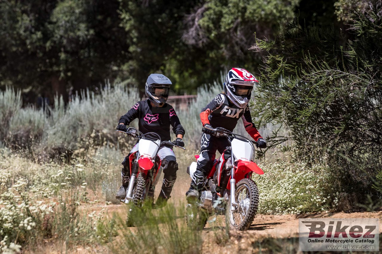 Thumbnail for Honda CRF110F 2021