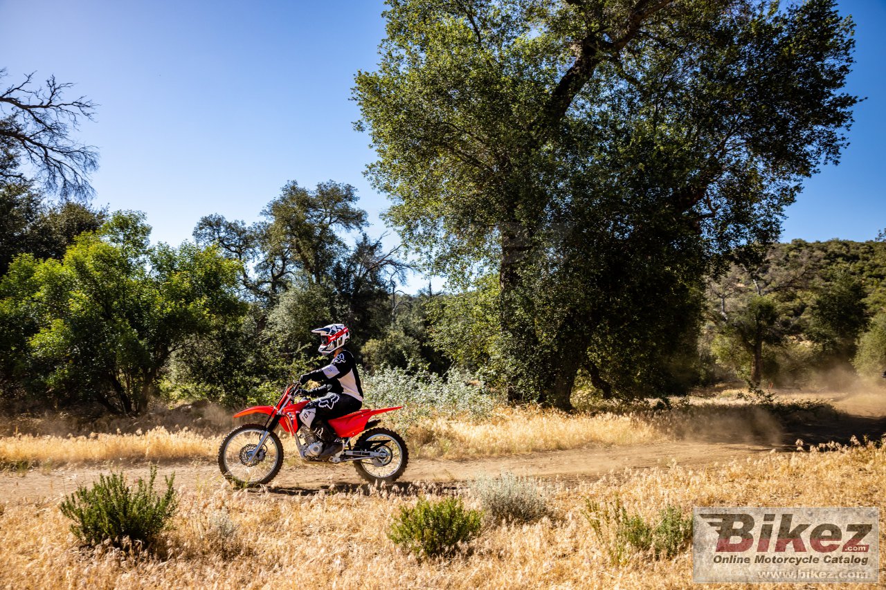 Thumbnail for Honda CRF125F 2025