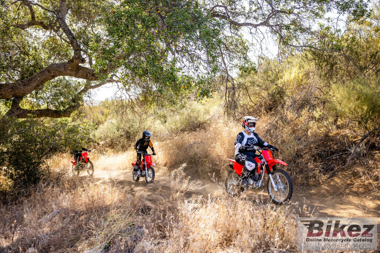 Thumbnail for Honda CRF125F 2025