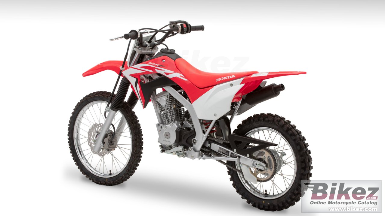 Thumbnail for Honda CRF125F Big Wheel 2019