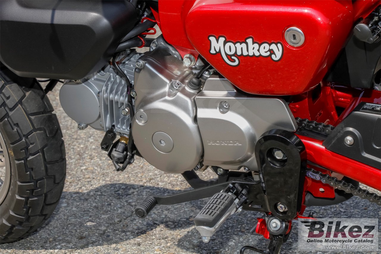 Thumbnail for Honda Monkey 2019
