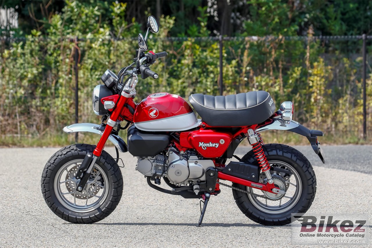 Thumbnail for Honda Monkey 2019